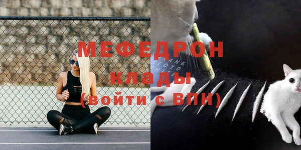 шишки Верхний Тагил