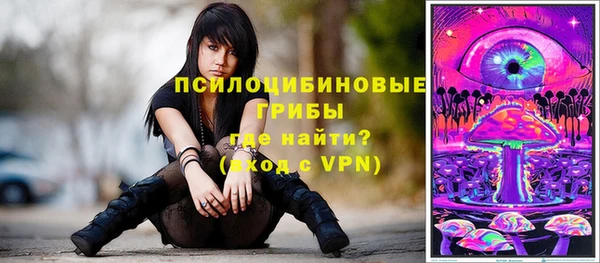 шишки Верхний Тагил