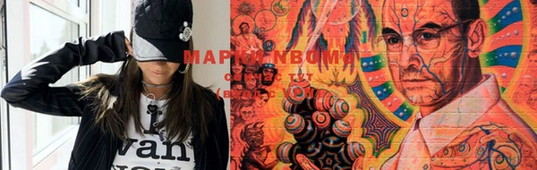 шишки Верхний Тагил