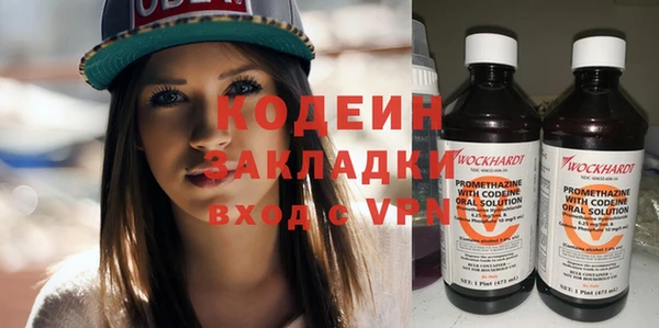 шишки Верхний Тагил