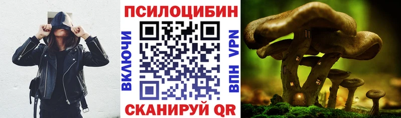 Галлюциногенные грибы MAGIC MUSHROOMS  купить наркотики сайты  Губкинский 
